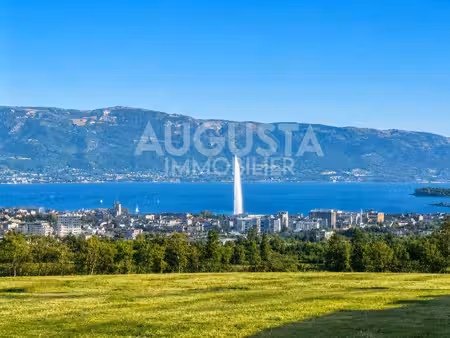 augusta immobilier
