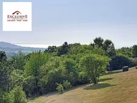 exclusive immobilier