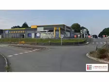 marie janin
