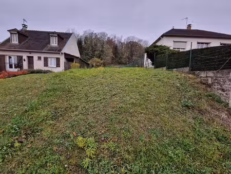 tlg catenne immobilier