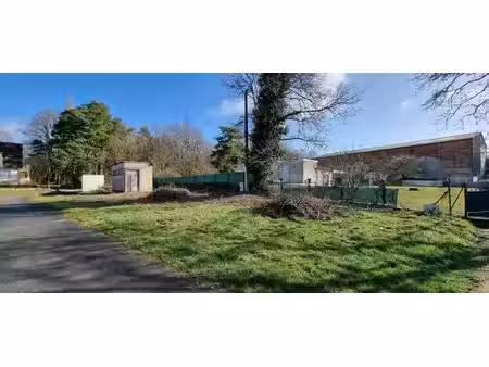 tlg catenne immobilier