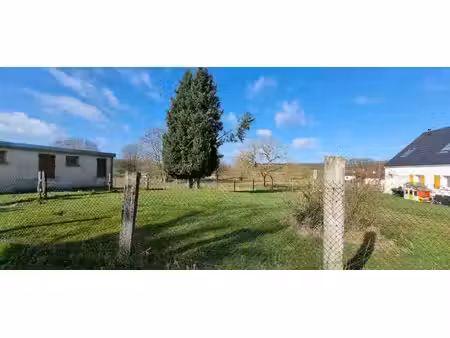 tlg catenne immobilier