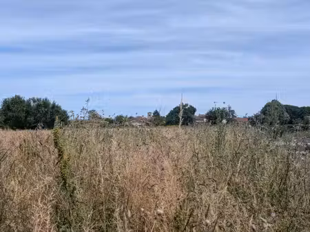 terrain constructible viabilisé à vendre