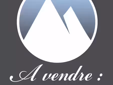 local commercial à vendre