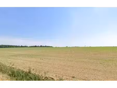 trecobois rennes