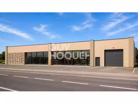 murs commerciaux /local d'activité