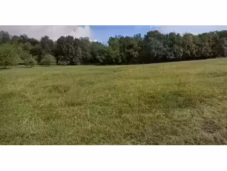 vente terrain 6000 m² à cause-de-clérans (24150)  39 000 €
