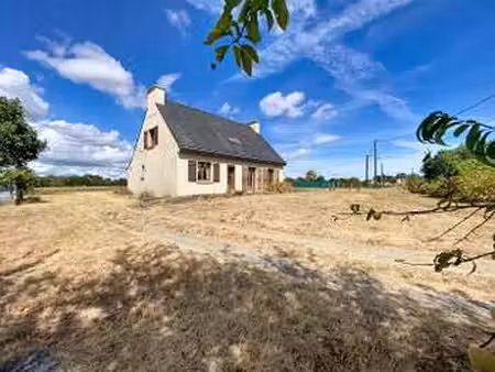 vente maison à noyal-muzillac (56190) : à vendre / 113m² noyal-muzillac
