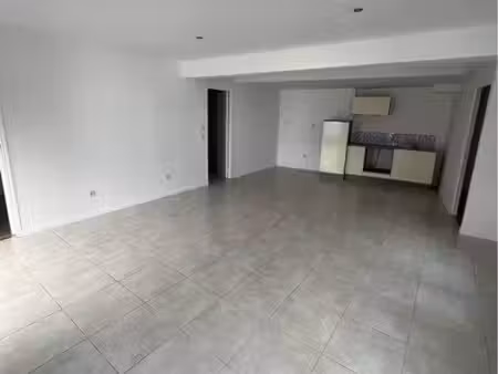 appartement t3 55m2 lumineux et rénové à croix