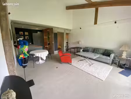 location magnifique loft style industriel