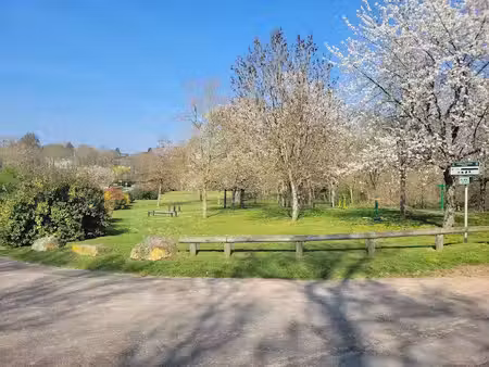 vente terrain 441 m² à la chaussée-saint-victor (41260)  63 000 €