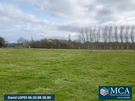 vente terrain 1400 m² à blasimon (33540)  55 000 €