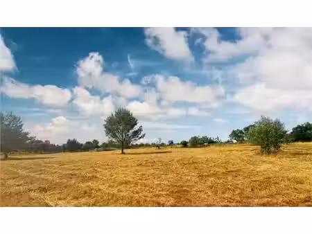 vente terrain 600 m² à villeneuve-minervois (11160)  52 500 €