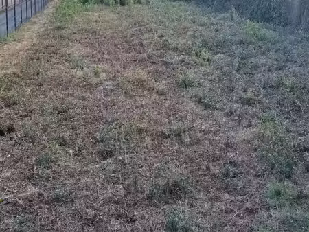 vente terrain 2300 m² à saint-savin (33920)  56 000 €
