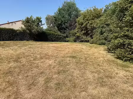 vente terrain 292 m² à ballon (17290)  58 500 €