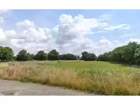 vente terrain 258 m² à longeville-sur-mer (85560)  58 500 €