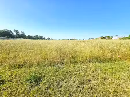 vente terrain 255 m² à angliers (17540)  67 900 €