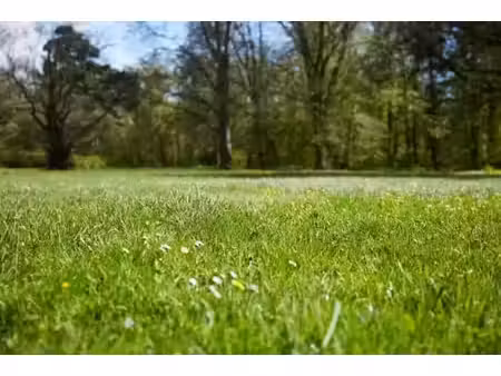 vente terrain 312 m² à druye (37190)  69 000 €