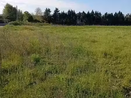 vente terrain 559 m² à la côte-saint-andré (38260)  70 000 €