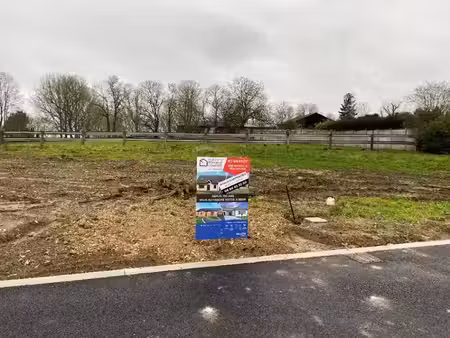 vente terrain 435 m² à ecurie (62223)  66 000 €