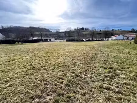 vente terrain 1220 m² à vezac (15130)  69 540 €