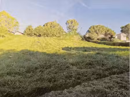 vente terrain 1000 m² à sainte-croix-du-mont (33410)  70 850 €