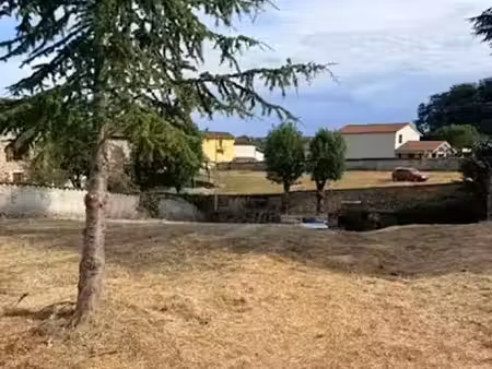 vente terrain 755 m² à bas-en-basset (43210)  73 000 €