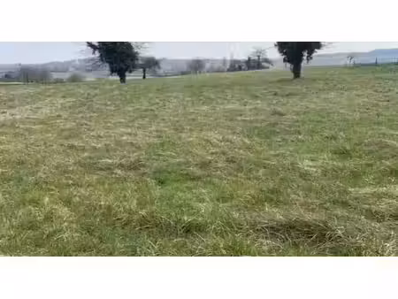 vente terrain à batir 980 m² à dormans (51700)  70 000 €