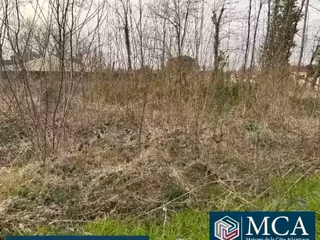 vente terrain 1200 m² à saint-denis-de-pile (33910)  75 000 €