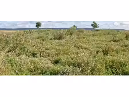 vente terrain à batir 770 m² à condé-sur-marne (51150)  77 380 €