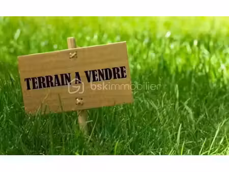 vente terrain 454 m² à nazelles-négron (37530)  76 000 €