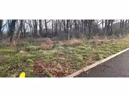 vente terrain 1000 m² à martillac (33650)  239 900 €