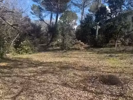 vente terrain 800 m² à la roque-d'anthéron (13640)  154 890 €