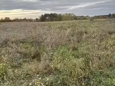 vente terrain 348 m² à bouchemaine (49080)  146 160 €