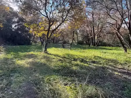 vente terrain 501 m² à carnoules (83660)  160 000 €