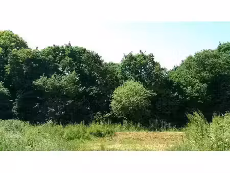 vente terrain 598 m² à erquy (22430)  166 240 €