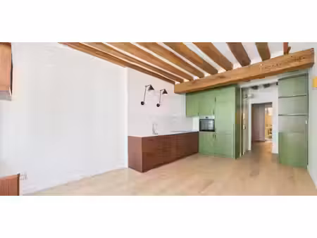 appartement avec terrasse paris 4ᵉ (75)