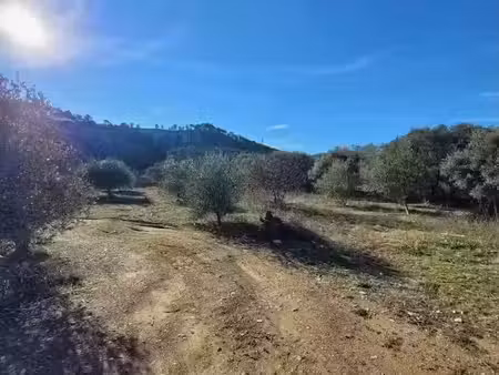 vente terrain 766 m² à cuges-les-pins (13780)  305 000 €
