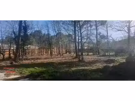 vente terrain 800 m² à gujan-mestras (33470)  385 000 €