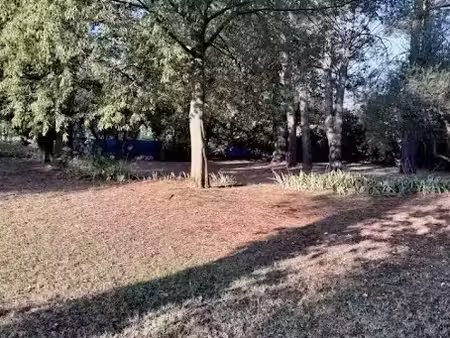 vente terrain 1534 m² à saint-rémy-de-provence (13210)  600 000 €