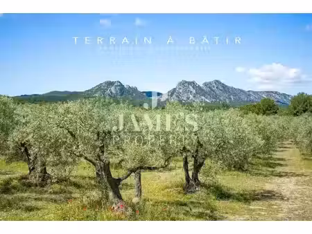 vente terrain à batir 800 m² à fontvieille (13990)  424 000 €