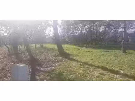vente terrain 1500 m² à gujan-mestras (33470)  720 000 €