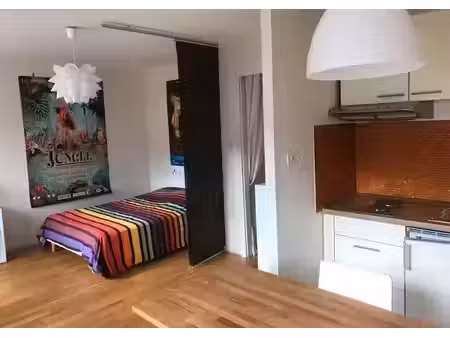 location meublée appartement 1 pièce 29 m² à strasbourg (67000)  920 €