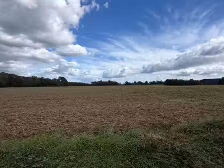 terrain constructible 950m2
