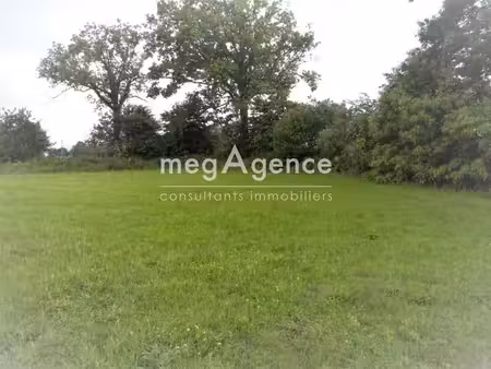 terrain agricole arboré