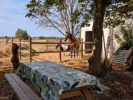 location maison meublé à saint-jean-de-monts périphérie (85160) : à louer meublé / 70m² sa
