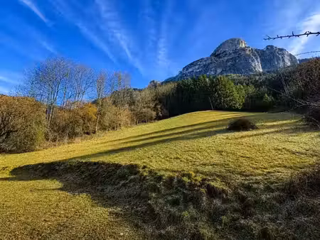 vente terrain 14012 m² à le petit-bornand-les-glieres (74130)  175 000 €