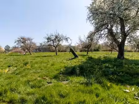 vente terrain à vimoutiers (61120) : à vendre / 2436m² vimoutiers