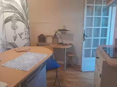 location appartement 1 pièce à cestas (33610)  400 €