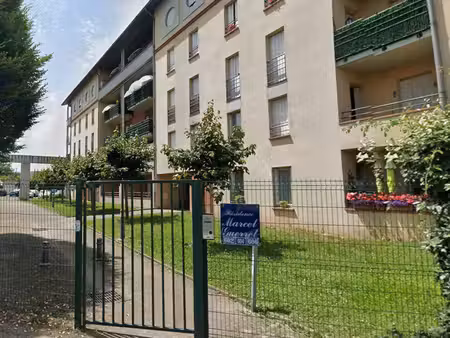 appartement t3 montauban